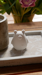 Raysin bear, small gift, souvenir, small bear,