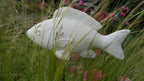 Decorative Fish, Concrete Fish, Garden Decoration, Decor for the Garden, Decoration, School of Fish