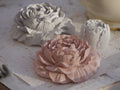 Decorative rose, peony, rose set