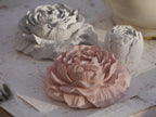 Decorative rose, peony, rose set