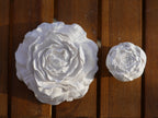 Decorative rose, peony, rose set
