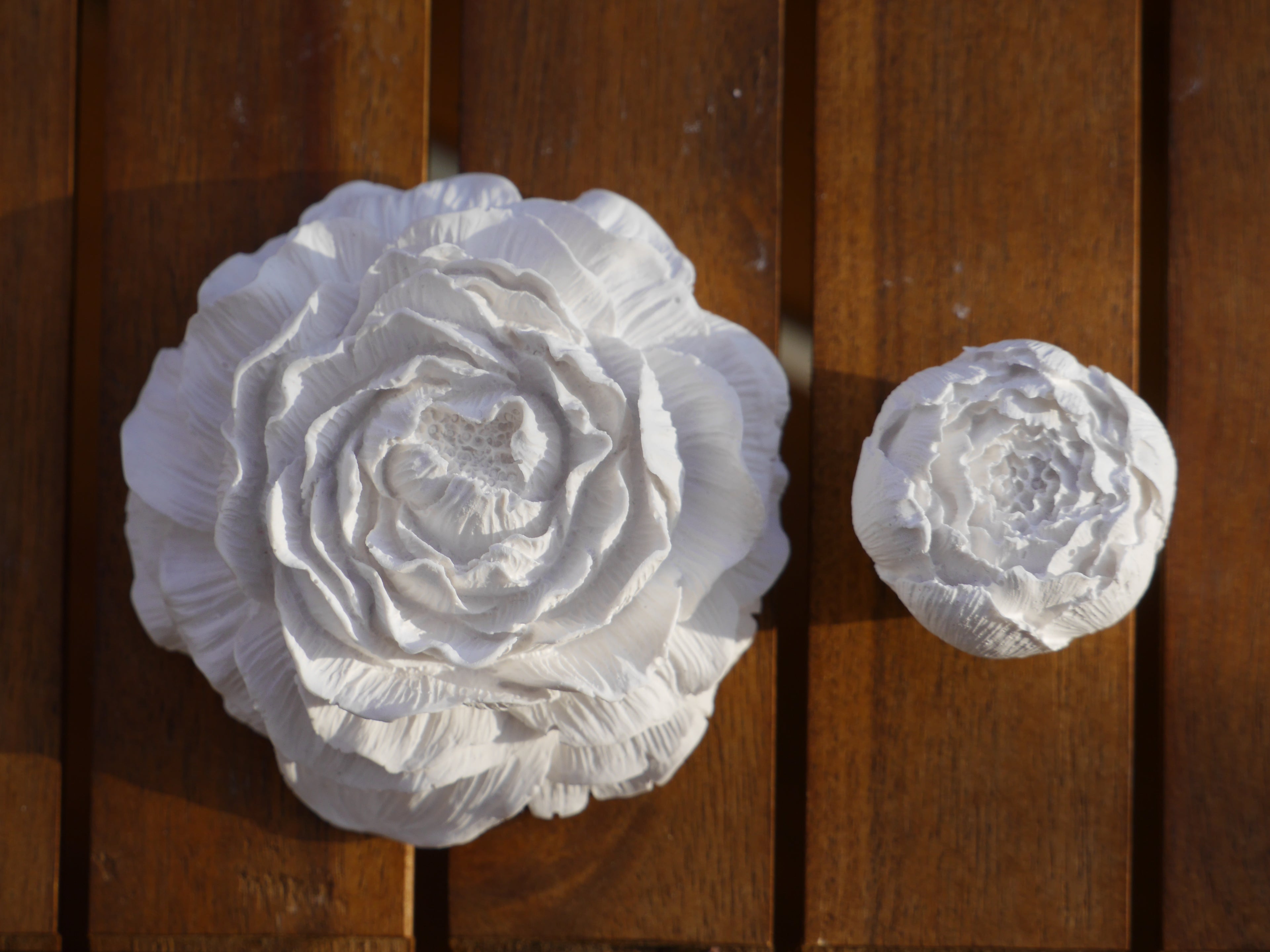 Decorative rose, peony, rose set