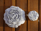 Decorative rose, peony, rose set