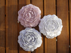 Decorative rose, peony, rose set