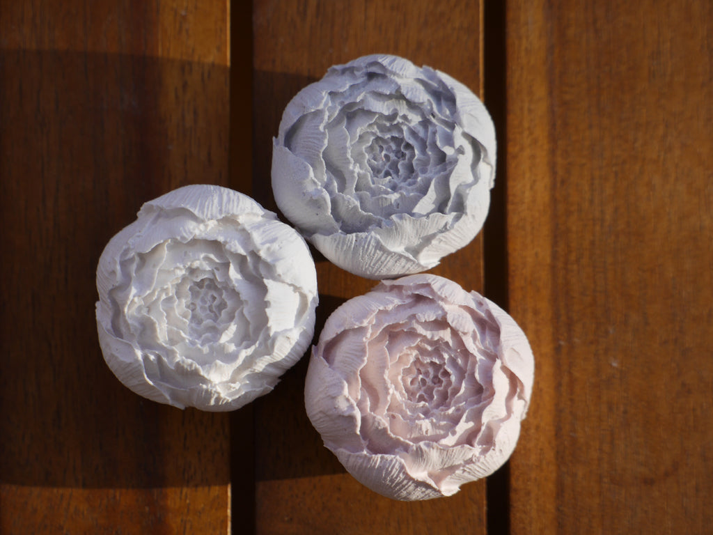 Decorative rose, peony, rose set