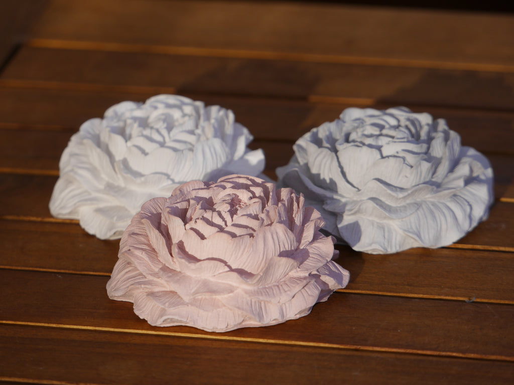 Decorative rose, peony, rose set