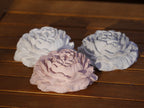 Decorative rose, peony, rose set