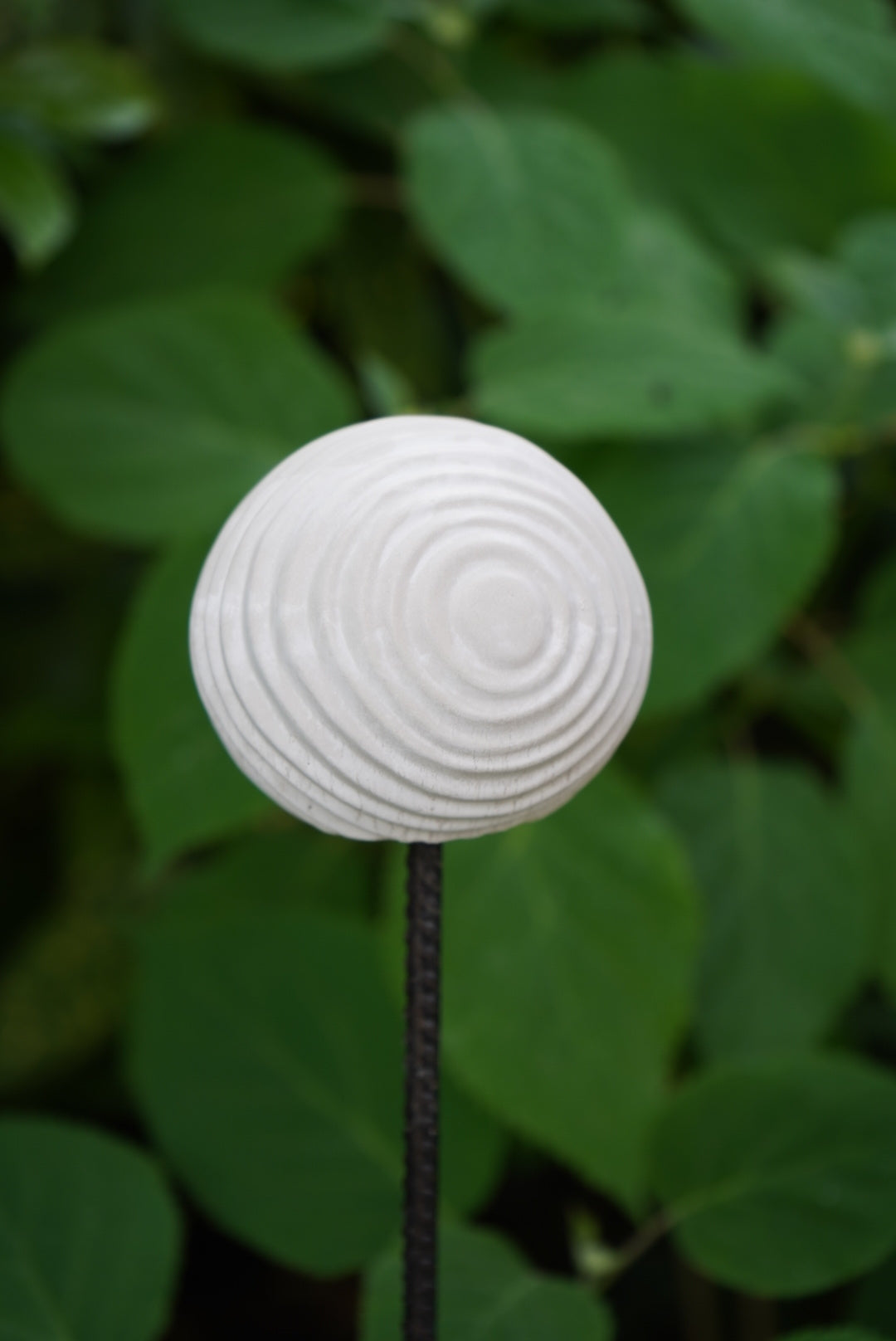 Deko Kugel, Beton Kugel, Gartendeko, Kugel für den Garten, Dekoration
